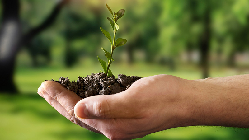 Sustainability services at Sound of the Sun